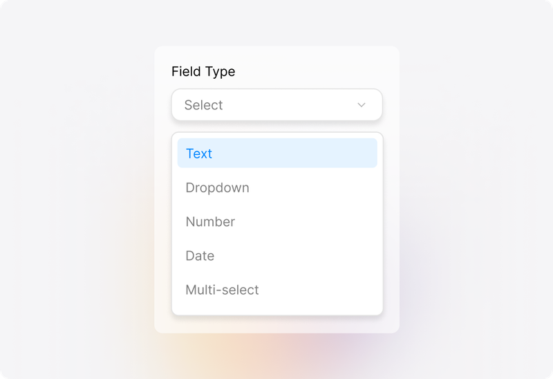 Conceptual illustration: Wide Range of Custom Field Types