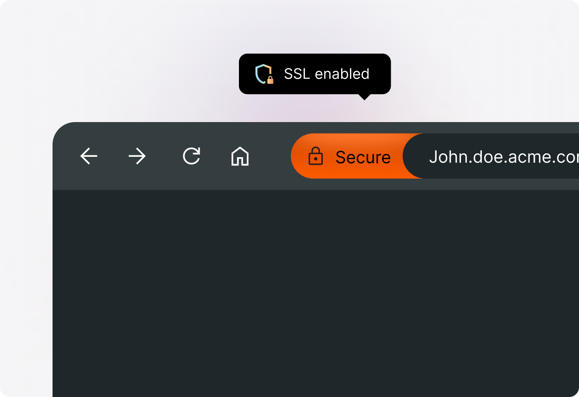 Illustration of an encrypted browser connection.
